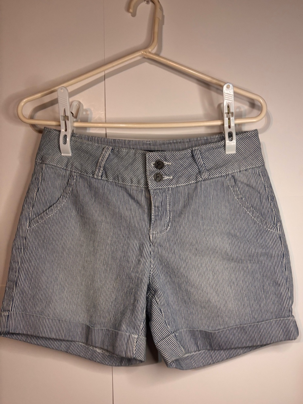 Earl Jean Pin Stripped Shorts